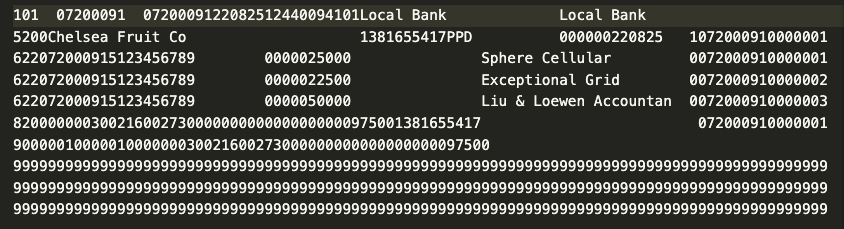 Example ACH file data with properly-formatted header and batch entries.