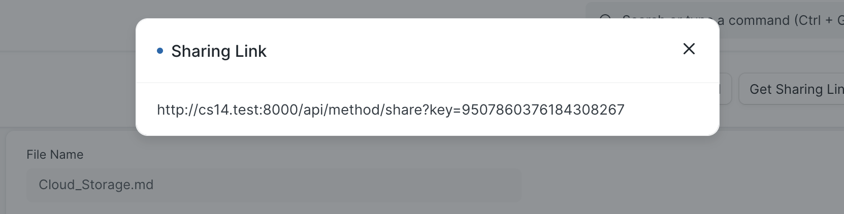 Sharing link dialogue box showing full link to the file in the cloud storage application.